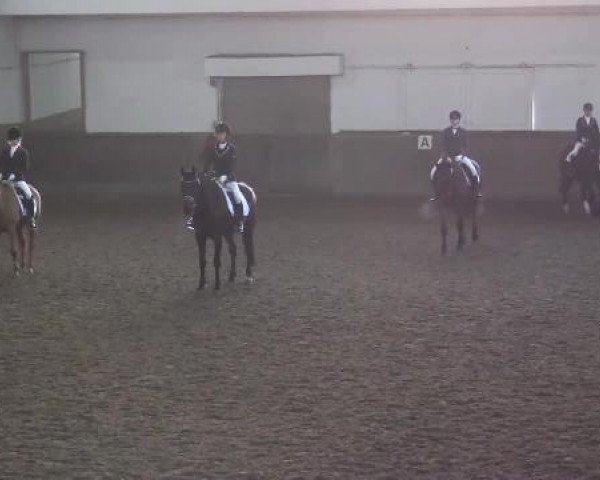 Winterchampionat Essen-Stadtwald 2014