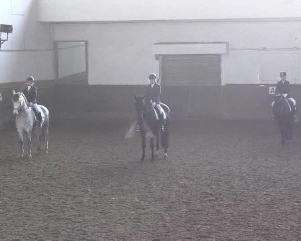 Winterchampionat Essen-Stadtwald 2014