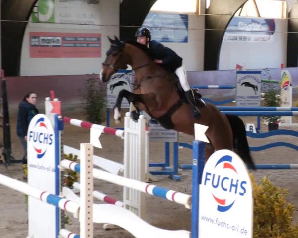 Reitturnier Viernheim 2026