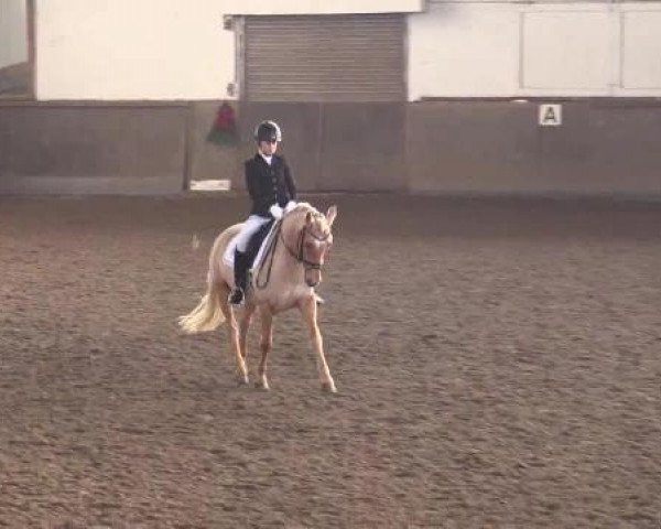Winterchampionat Essen-Stadtwald 2014