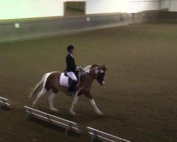 Winterchampionat Essen-Stadtwald 2014