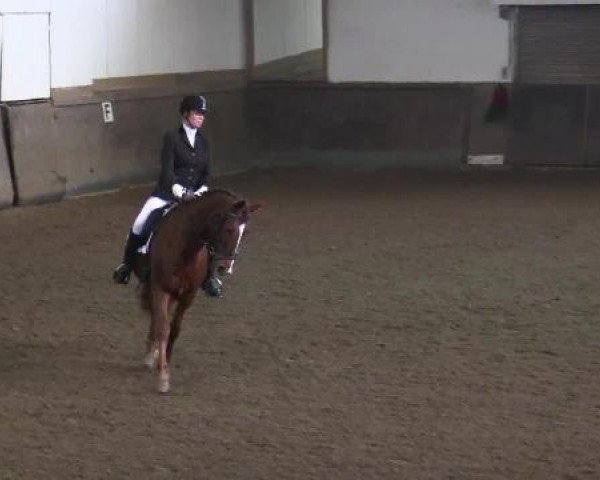 Winterchampionat Essen-Stadtwald 2014
