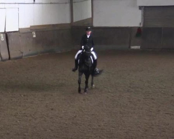 Winterchampionat Essen-Stadtwald 2014