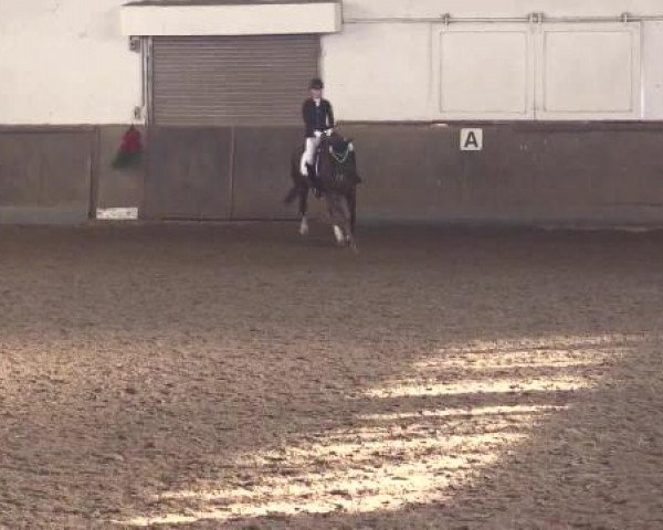 Winterchampionat Essen-Stadtwald 2014