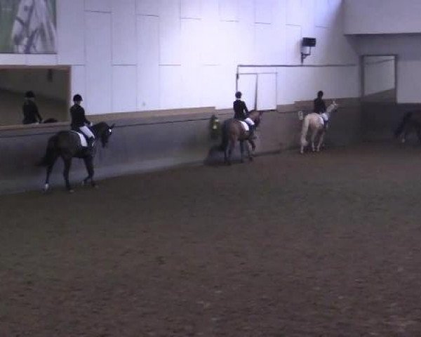 Winterchampionat Essen-Stadtwald 2014