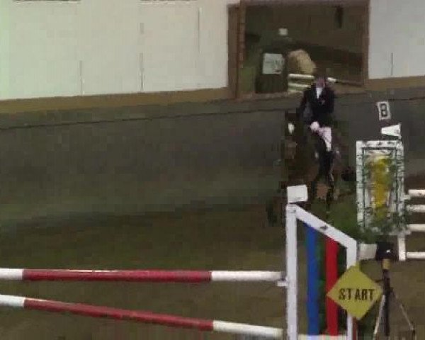 Winterchampionat Essen-Stadtwald 2014