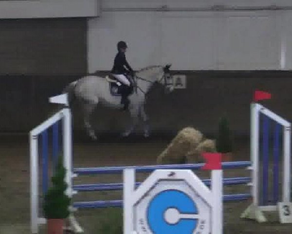 Winterchampionat Essen-Stadtwald 2014