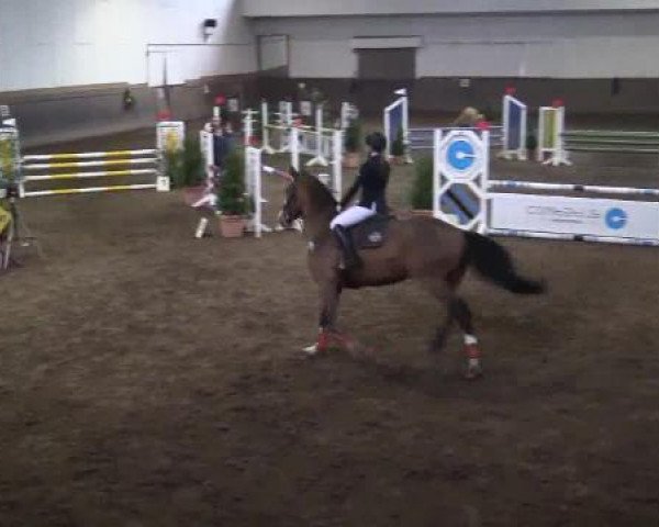 Winterchampionat Essen-Stadtwald 2014
