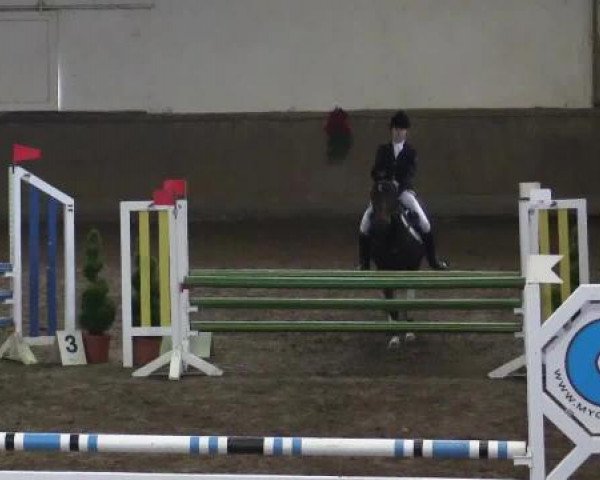 Winterchampionat Essen-Stadtwald 2014