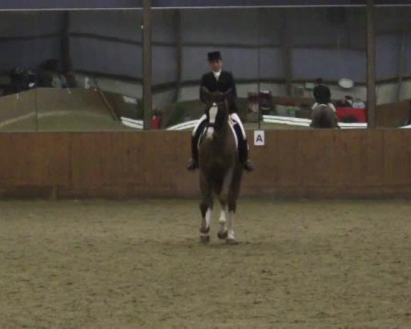 Winterchampionat Essen-Stadtwald 2014