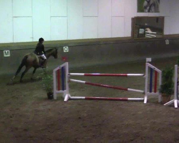 Winterchampionat Essen-Stadtwald 2014
