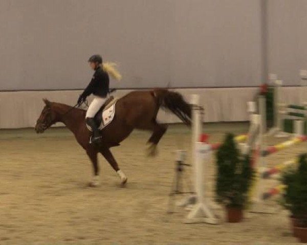 Münster-Handorf 2014