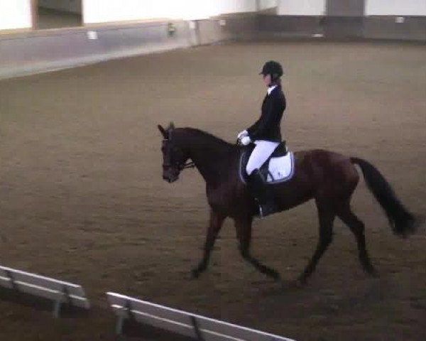 Winterchampionat Essen-Stadtwald 2014
