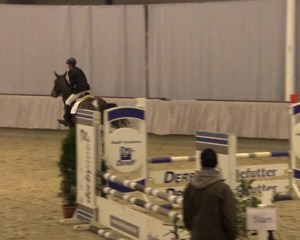 Münster-Handorf 2014