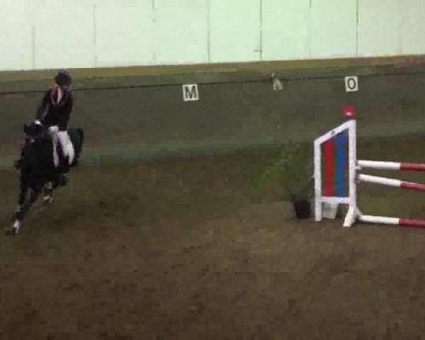 Winterchampionat Essen-Stadtwald 2014