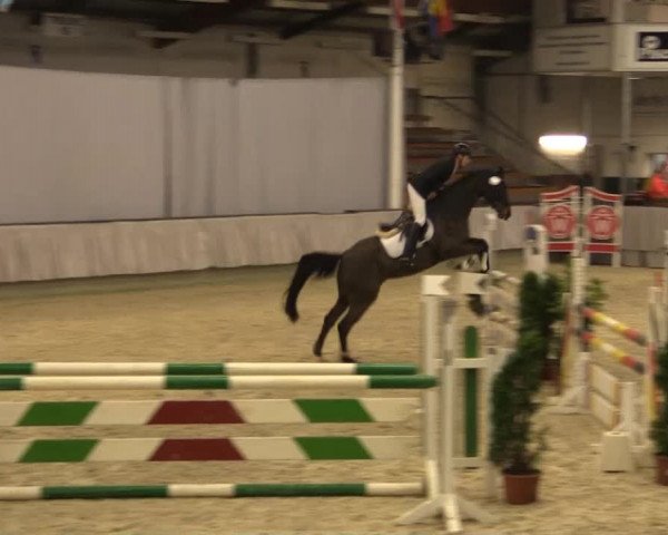 Münster-Handorf 2014