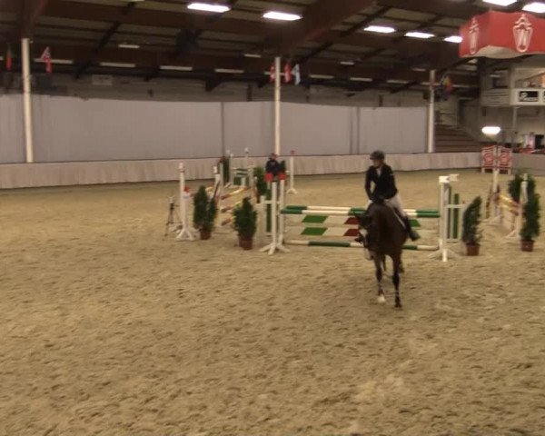 Münster-Handorf 2014