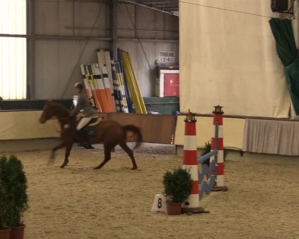 Münster-Handorf 2014