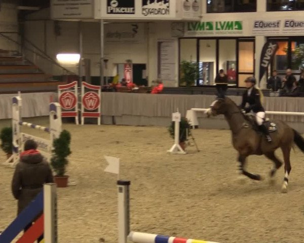 Münster-Handorf 2014