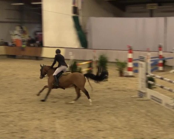 Münster-Handorf 2014