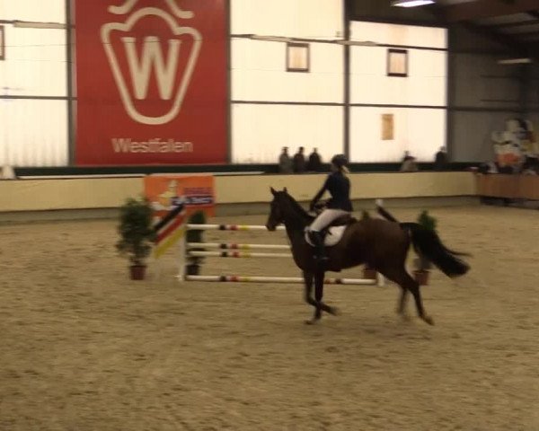 Münster-Handorf 2014