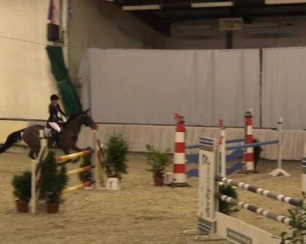 Münster-Handorf 2014