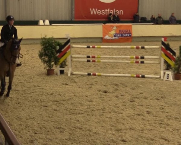 Münster-Handorf 2014