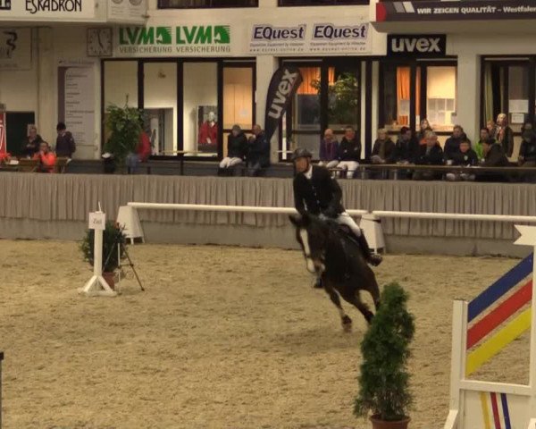 Münster-Handorf 2014