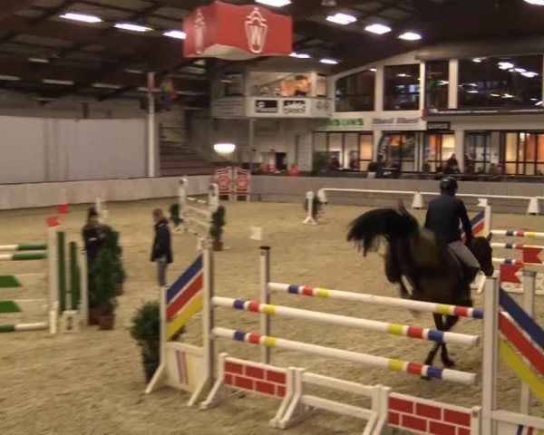 Münster-Handorf 2014