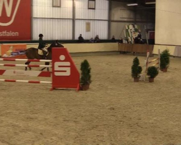 Münster-Handorf 2014