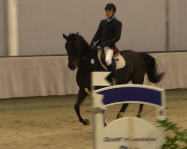 Münster-Handorf 2014