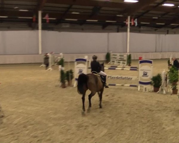 Münster-Handorf 2014