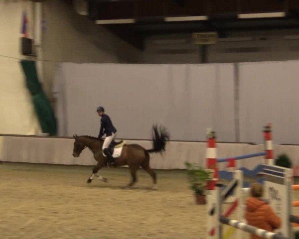 Münster-Handorf 2014