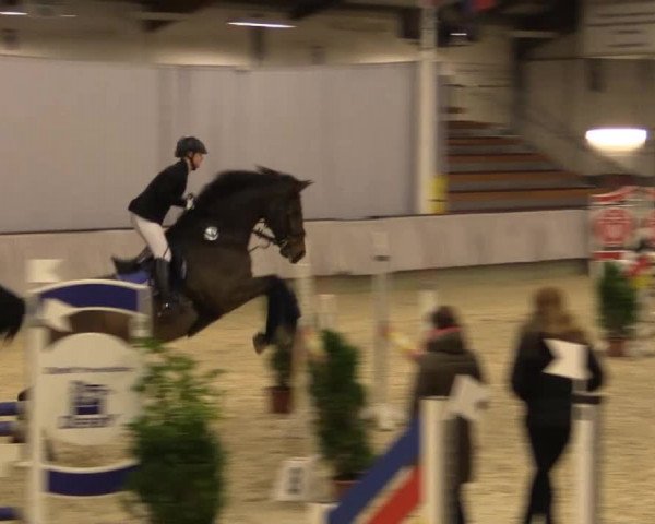 Münster-Handorf 2014