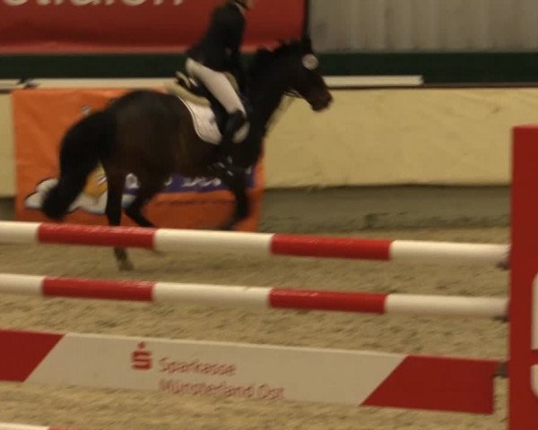 Münster-Handorf 2014