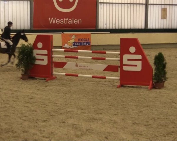 Münster-Handorf 2014
