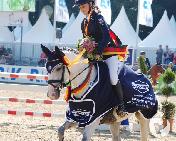 broodmare Top Medusa (German Riding Pony, 2011, from Top Montreal)