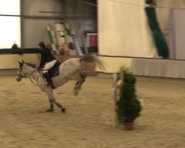 Münster-Handorf 2014