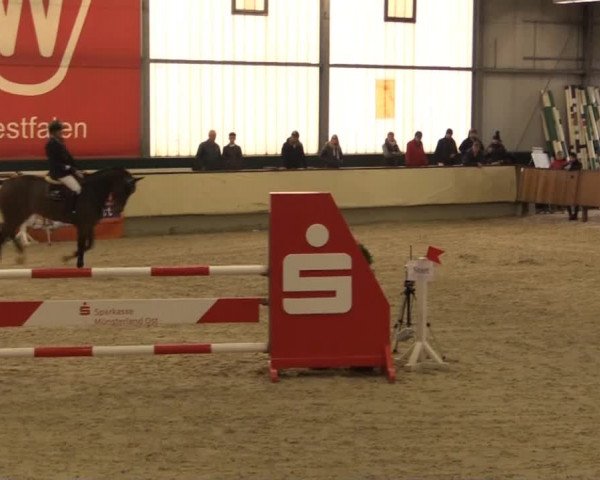 Münster-Handorf 2014