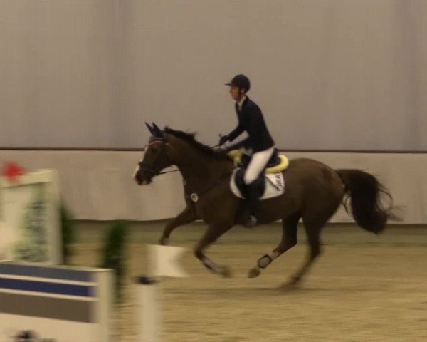 Münster-Handorf 2014