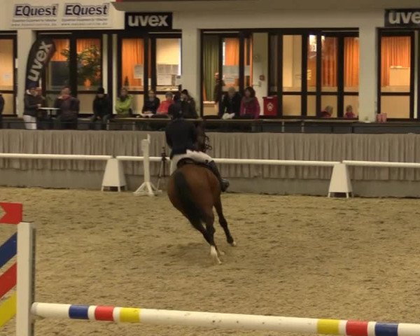 Münster-Handorf 2014