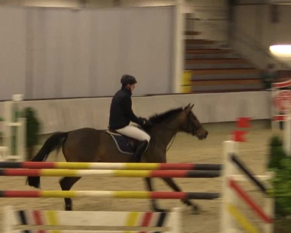 Münster-Handorf 2014