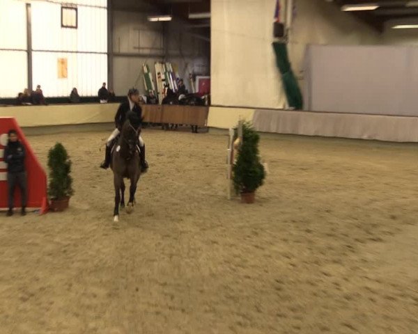 Münster-Handorf 2014
