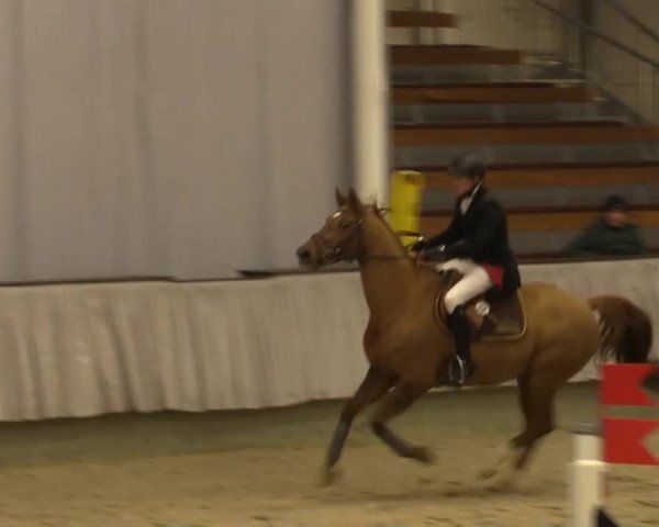 Münster-Handorf 2014