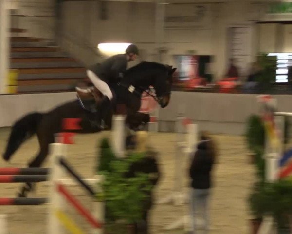 Münster-Handorf 2014