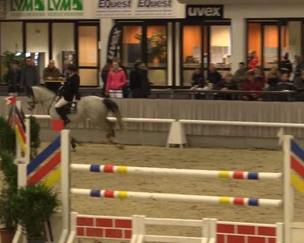 Münster-Handorf 2014