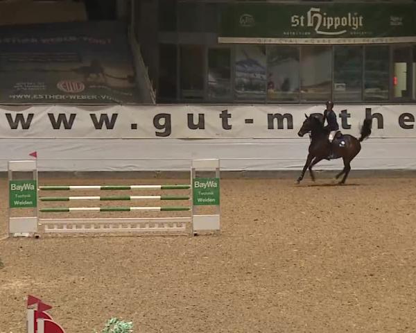 Reitturnier Kreuth/Opf. 2026