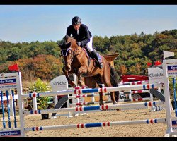 broodmare Pmh Giormani (Oldenburg show jumper, 2014, from Collado)