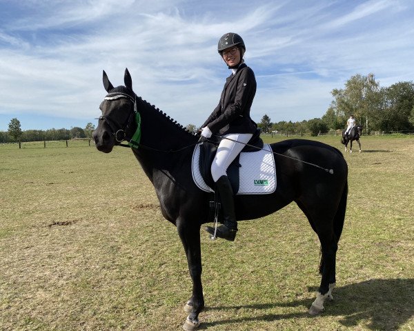 broodmare Hadiya 6 (German Riding Pony, 2013, from Dance Star AT NRW)