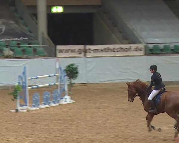 Reitturnier Kreuth/Opf. 2021
